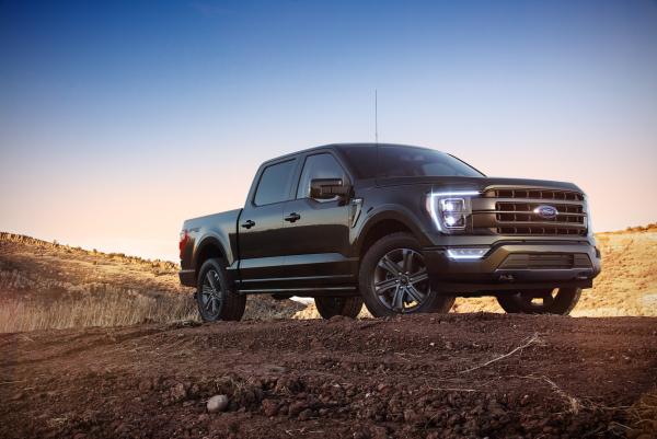 Ford F-150: Amerikas Pick-up-Ikone kommt nach Deutschland