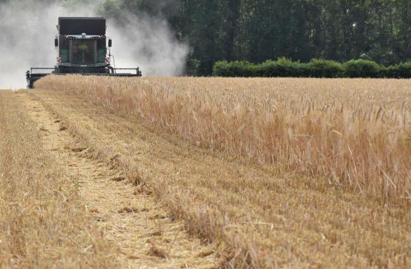 Blick auf die Ernteerwartungen 2023