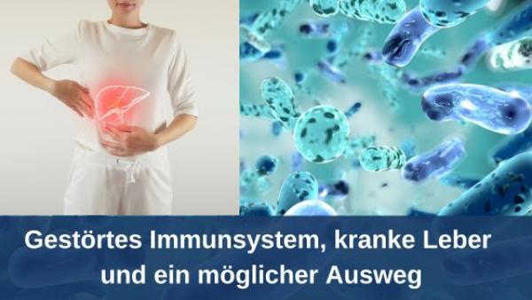 Gestörtes Immunsystem, kranke Leber und ein möglicher Ausweg?