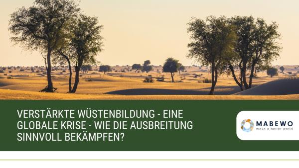 Verstärkte Wüstenbildung - eine globale Krise - wie die Ausbreitung sinnvoll bekämpfen?