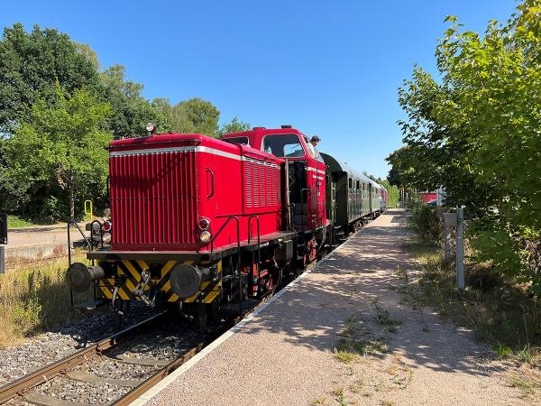 Mit dem Oldtimer-Zug in das Lilaland der Lüneburger Heide