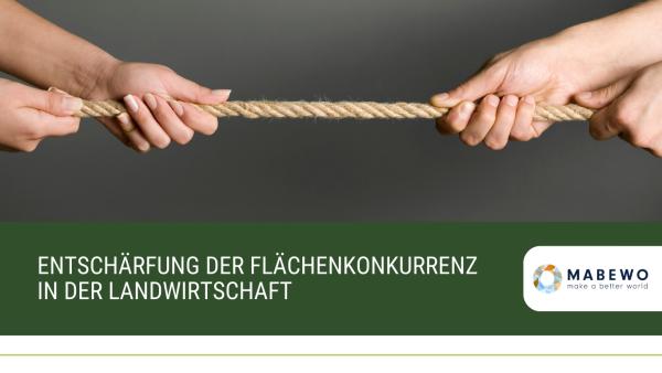 Entschärfung der Flächenkonkurrenz in der Landwirtschaft