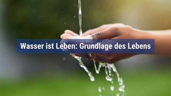 Wasser ist Leben: Grundlage des Lebens