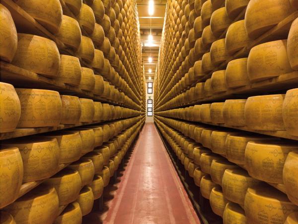Käse: Wachsende Verkaufszahlen in Europa lassen den Export von italienischen Milchprodukten enorm in die Höhe schnellen