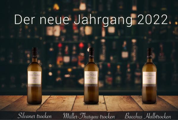 Der Jahrgang 2022 aus dem Weingut Ernst Molitor ist erhältlich