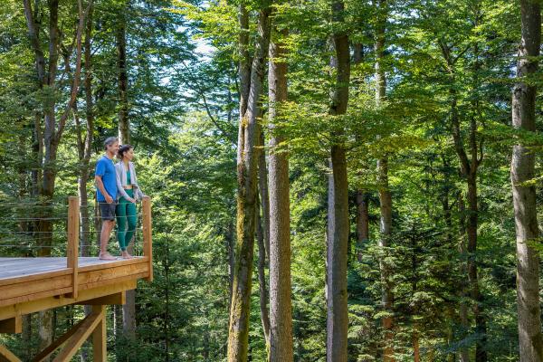 Einzigartiges WaldSpa auf 40.000 qm im Bayerischen Wald