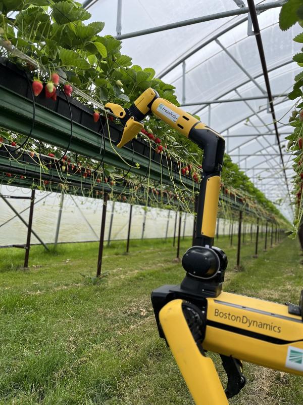 Fraunhofer-Initiative "Biogene Wertschöpfung und Smart Farming" auf der MeLa 2023