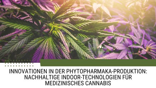 Innovationen in der Phytopharmaka-Produktion: Nachhaltige Indoor-Technologien für medizinisches Cannabis