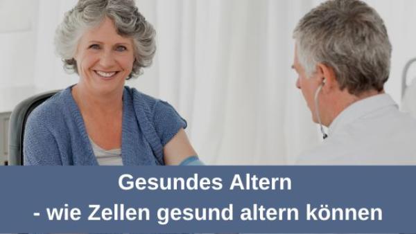 Gesundes Altern - wie Zellen gesund altern können