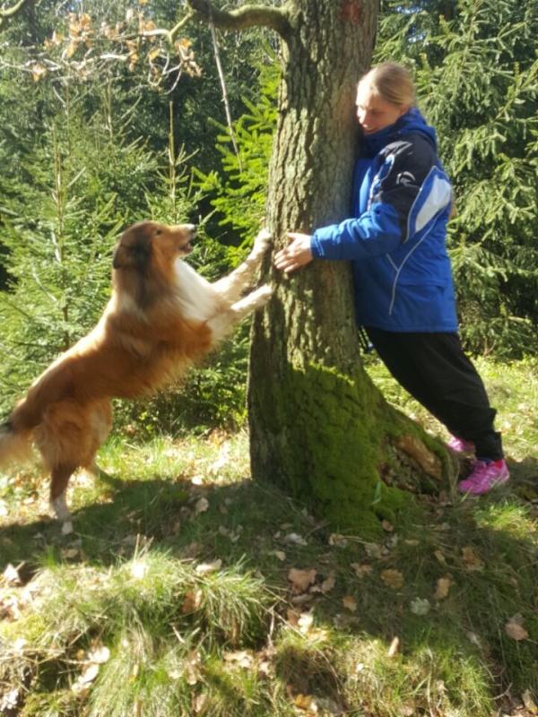 Besonders in Bezug auf Senioren spielen Hunde eine bedeutende Rolle als treue Begleiter und emotionale Stützen.