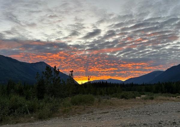 Brixton Metals: Bohrergebnisse vom Goldziel Trapper kommen am Markt gut an