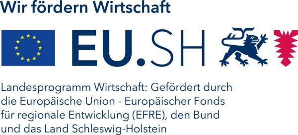 Sechs Mal weniger Energieeinsatz in Stolpe: HanseWerk Natur nimmt erstes kaltes Nahwärmenetz in Betrieb  