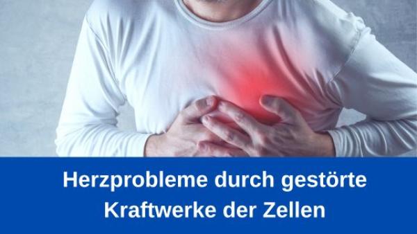 Herzprobleme durch gestörte Kraftwerke der Zellen