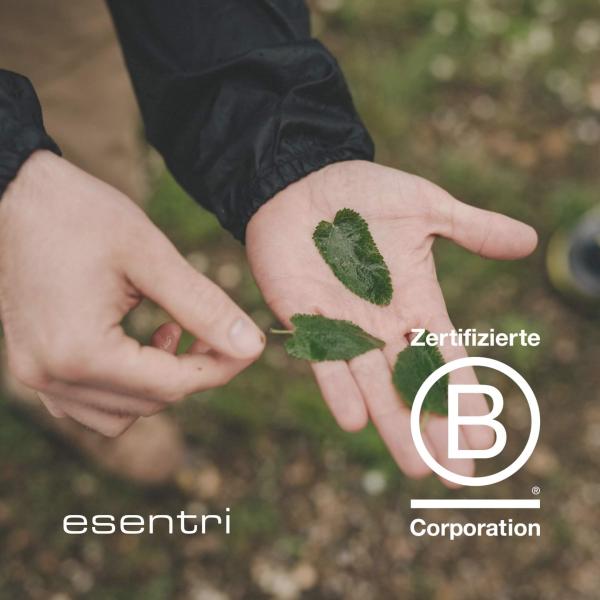 esentri AG als B Corp Unternehmen zertifiziert