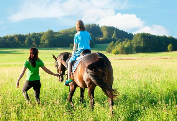 Der Sonnenhof Remseck bietet Reitunterricht an