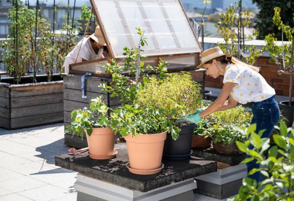 Maximilian Zieseniß gibt Tipps zum urbanen Garten