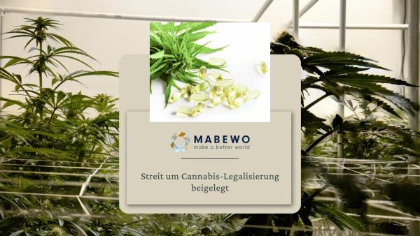 MABEWO - Cannabis Streit Streit um Cannabis-Legalisierung beigelegt