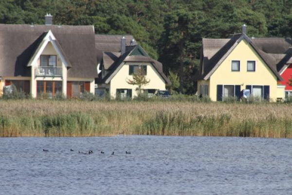 Urlaub mit Hund Ferienhaus Reethaus Strandvogt. Ein unvergesslicher Urlaub mit atemberaubendem Wasserblick.