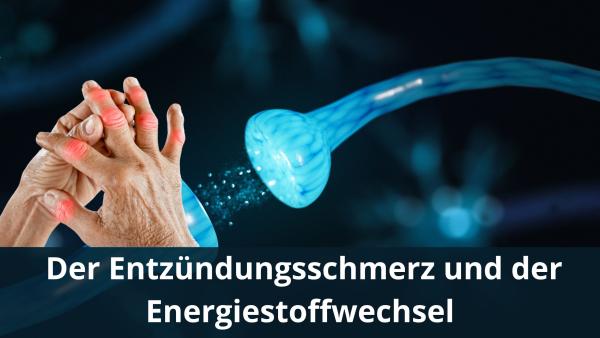 Der Entzündungsschmerz und der Energiestoffwechsel