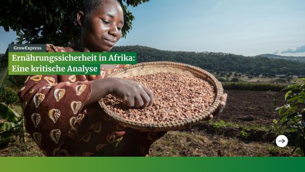 Ernährungssicherheit in Afrika: Eine kritische Analyse