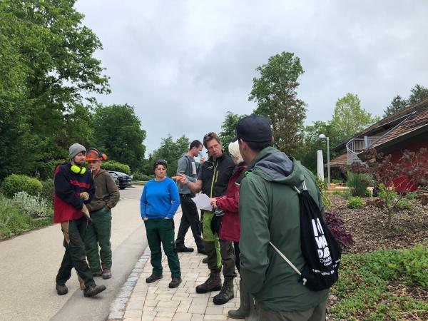 Würth Leasing Mitarbeitende engagieren sich beim Social Day für ein inklusives Naturprojekt