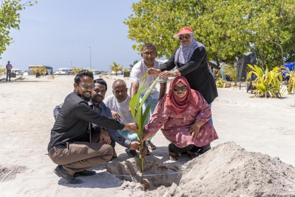 Grünes Wunder vom Nova Maldives