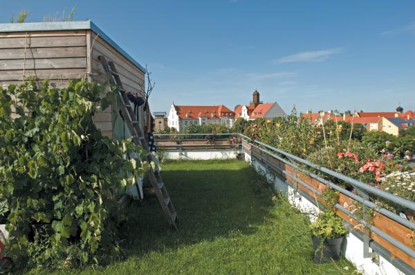Urban Gardening: Mit Schwab Rollrasen werden Dächer zu Erholungsoasen