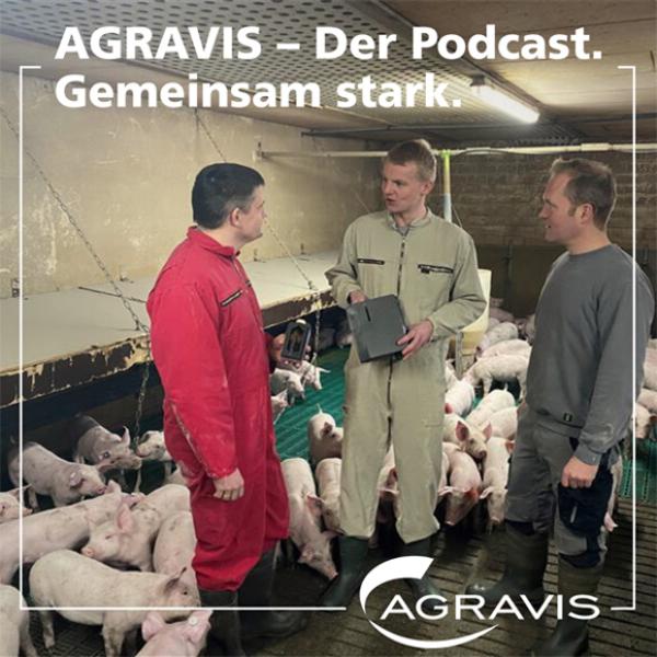 Podcast der AGRAVIS zu innovativer Technik für den Schweinestall