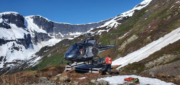 Surebet: Goliath Resources geht auf Jagd nach Quelle hochgradiger Goldvererzung