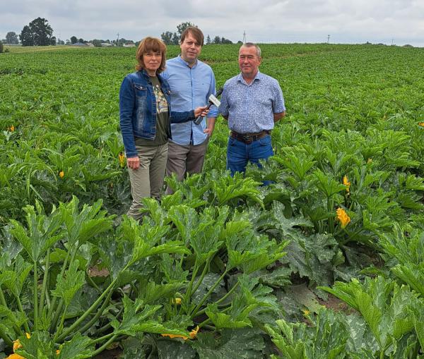 floraPell erschließt erfolgreich den polnischen Biomarkt mit innovativem Schafwolldünger