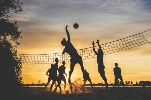 Robert Krüger-Zechlin: Volleyball - Teambuilding und Synergie durch Sport