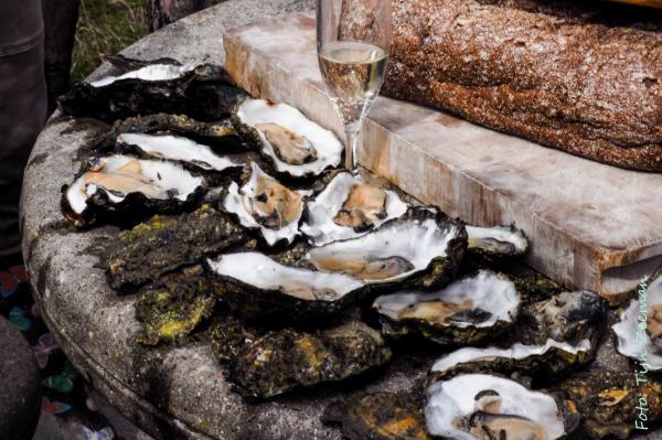 Genuss-Herbst auf Texel: von Weinlese, Austern und Bockbier-Spezialitäten