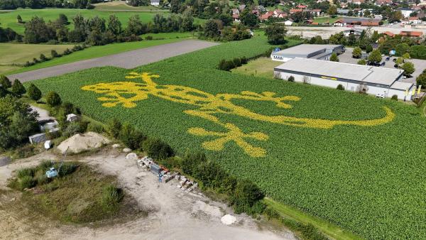 Die Chancen der Feldwerbung mit Blumen und die konsequente Vision des Startups GEOXIP