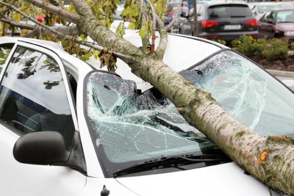 Sturmschäden am Auto - Verbraucherinformation der ERGO Versicherung