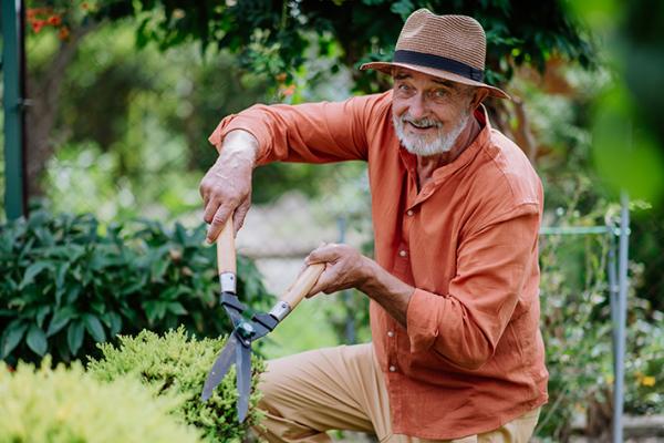 Gartenarbeiten: bis zu 5.200 Euro Steuerbonus