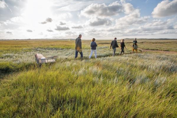 Herbstlicher Outdoor-Genuss: Texel lädt zu atemberaubendem Naturerlebnis