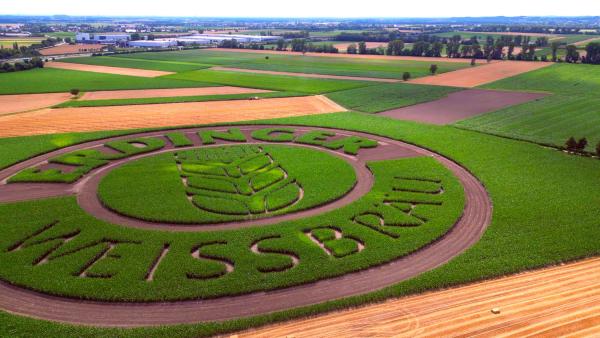 Blühende Logos und Werbung auf dem Acker: Startup GEOXIP im Fernsehen