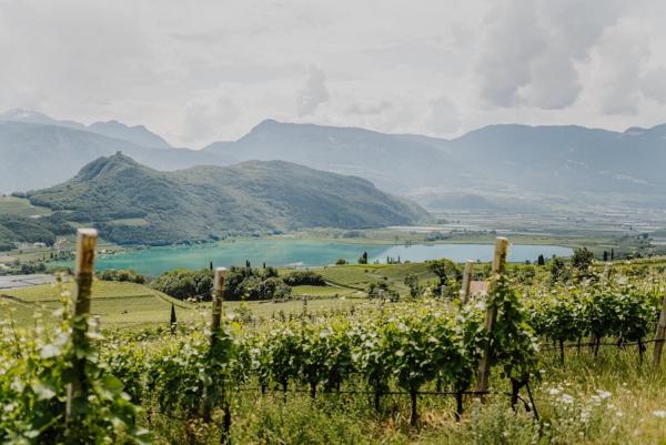 Wohnen, wo der Wein wächst - Hotels mit eigenem Weingut