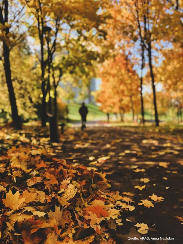 Herbstlaub: Wer fegt, wenn die Blätter fallen?