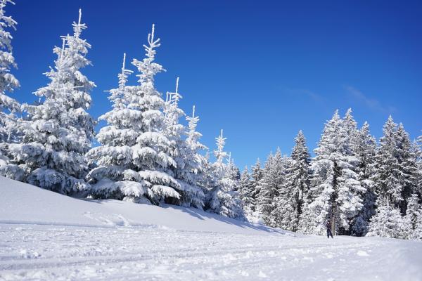 Hotel Sportalmmm: Direkt an der Piste für ein unvergleichliches Skivergnügen in Zauchensee