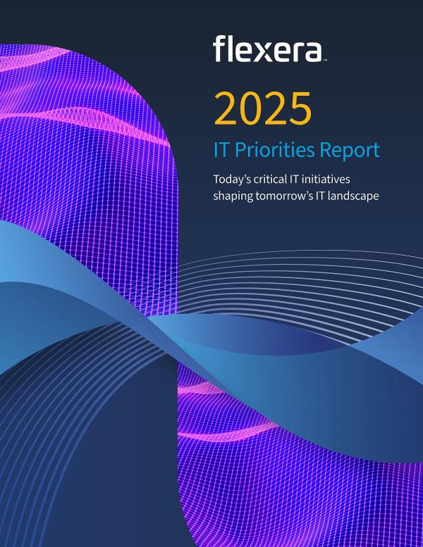 Flexera Report: IT-Prioritäten 2025 - IT-Führungskräfte erwarten massiven KI-Ruck