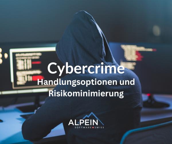 Cyberangriffe: Handlungsoptionen und Risikominimierung