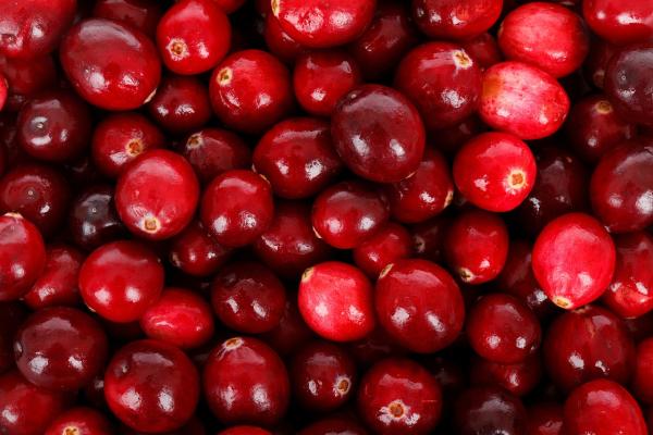 Auranatura Erfahrungen: Die gesundheitlichen Aspekte der Cranberry im Fokus