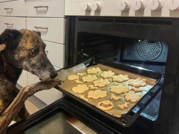 Hundekekse selbst backen