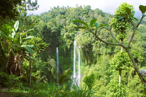 Naturerlebnis auf Bali - Sekumpul Wasserfall