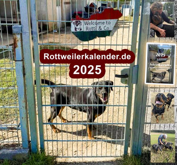 Facebook-Gruppe "Unsere Rottis & Co, in der Auffangstation die Vergessenen" hilft geretteten Hunden in Not