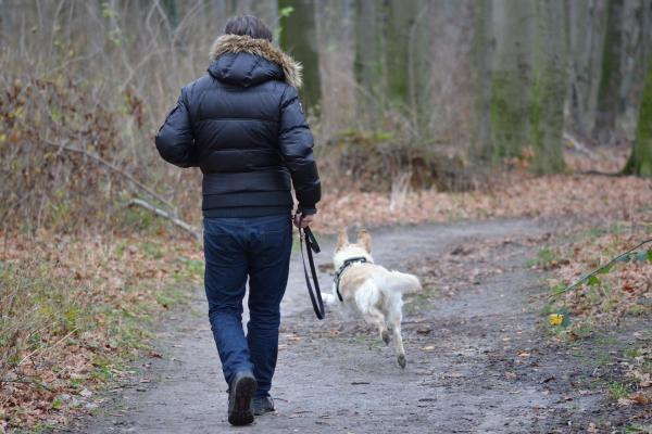 Jagdverhalten beim Hund verstehen und kontrollieren - mit Sonee Dosoruths Ansatz zum entspannten Freilauf