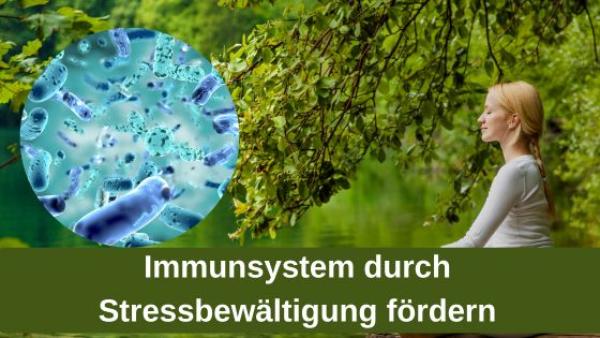 Immunsystem durch Stressbewältigung fördern