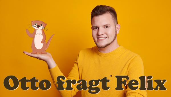 Neues Videoformat "Otto fragt Felix" gestartet