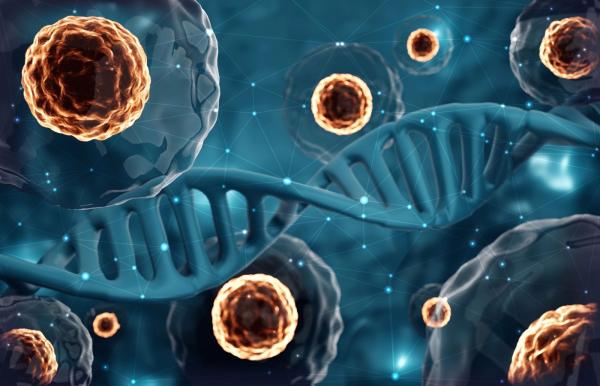Hemostemix verkauft seine 23. ACP-01 Therapie-Wandelschuldverschreibung